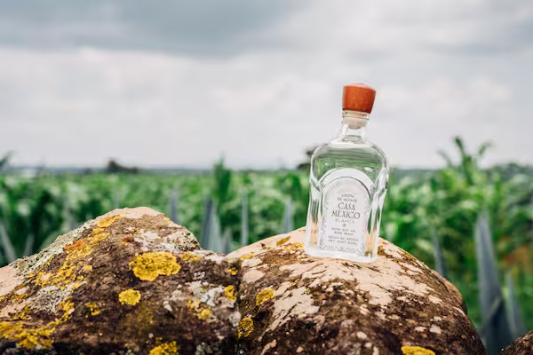Bottle of Casa Mexico Tequila in Guadalarja